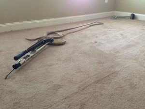 carpet cleaning 10 300x225 - Projects