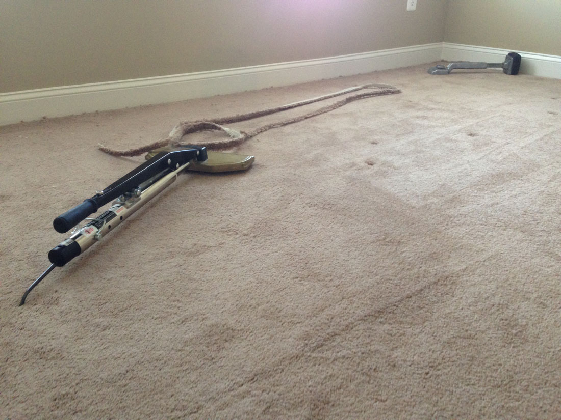 carpet cleaning 10 - Projects
