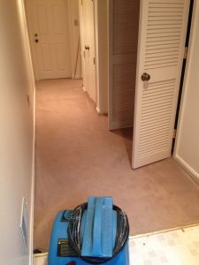 carpet cleaning 11 225x300 - Projects