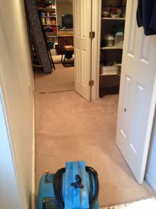 carpet cleaning 12 225x300 - Projects