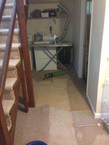 carpet cleaning 14 225x300 - Projects