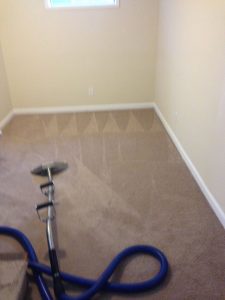 carpet cleaning 15 225x300 - Projects