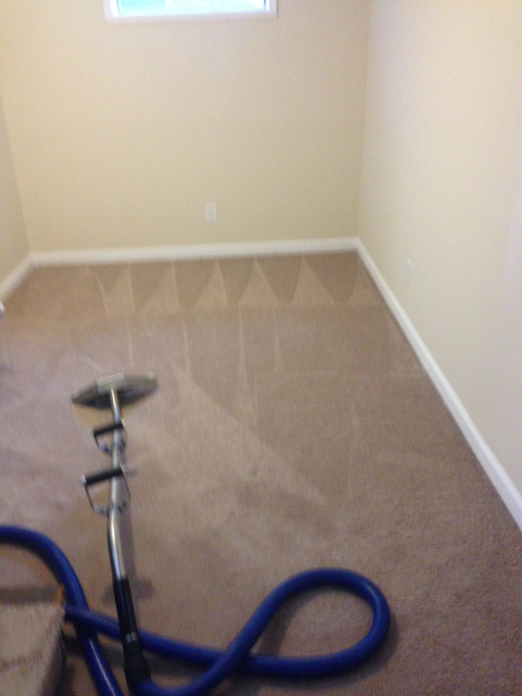 carpet cleaning 15 - Projects