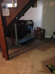 carpet cleaning 16 225x300 - Projects