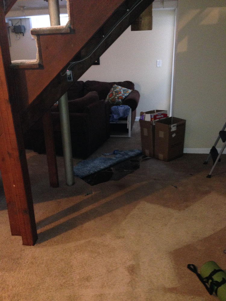carpet cleaning 16 - Projects
