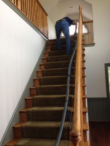 carpet cleaning 17 225x300 - Projects