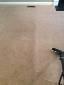 carpet cleaning 18 225x300 - Projects