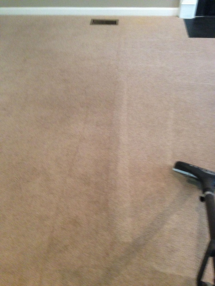 carpet cleaning 18 - Projects