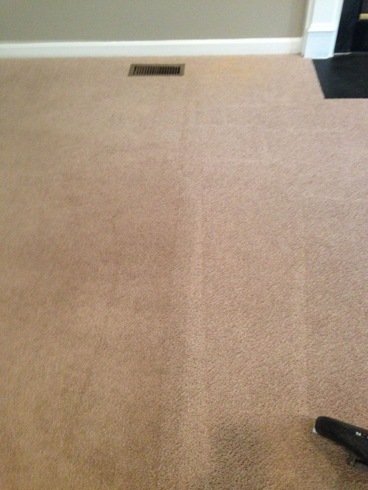 carpet cleaning 19 - Projects