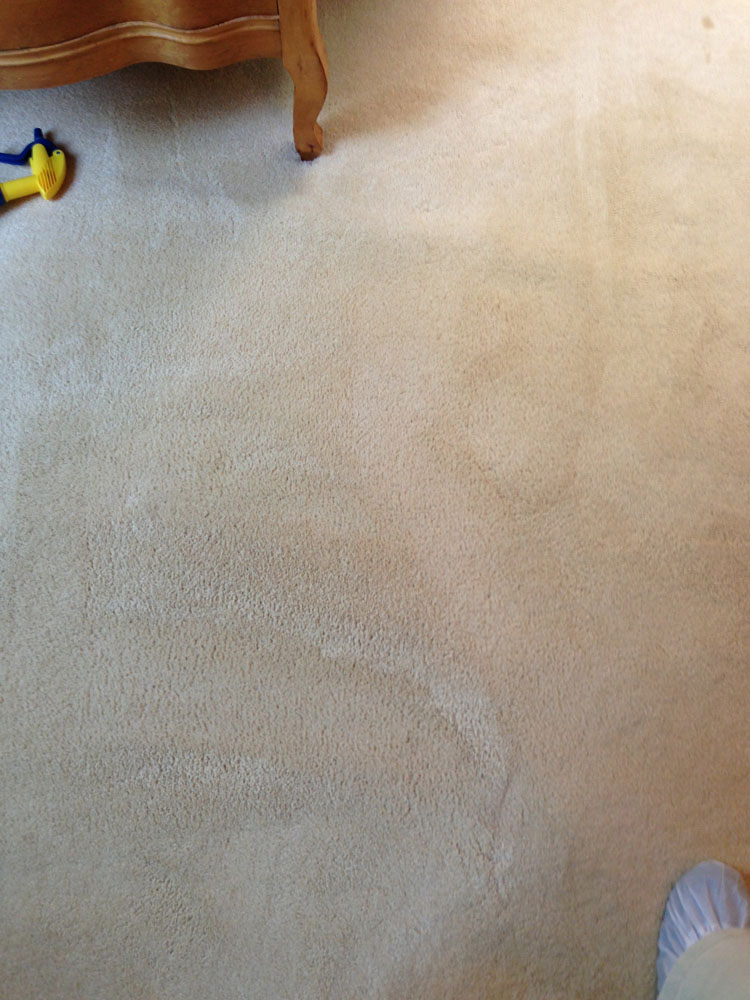 carpet cleaning 2 - Projects