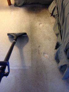 carpet cleaning 20 225x300 - Projects