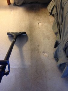 carpet cleaning 21 225x300 - Projects