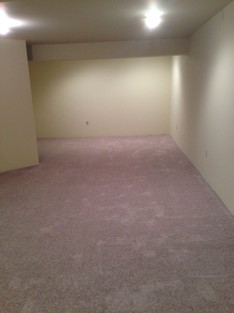 carpet cleaning 22 - Projects