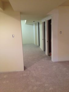 carpet cleaning 24 225x300 - Projects