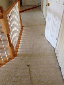 carpet cleaning 3 225x300 - Projects