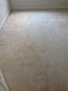 carpet cleaning 4 225x300 - Projects