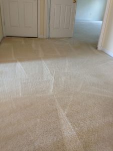 carpet cleaning 5 225x300 - Projects