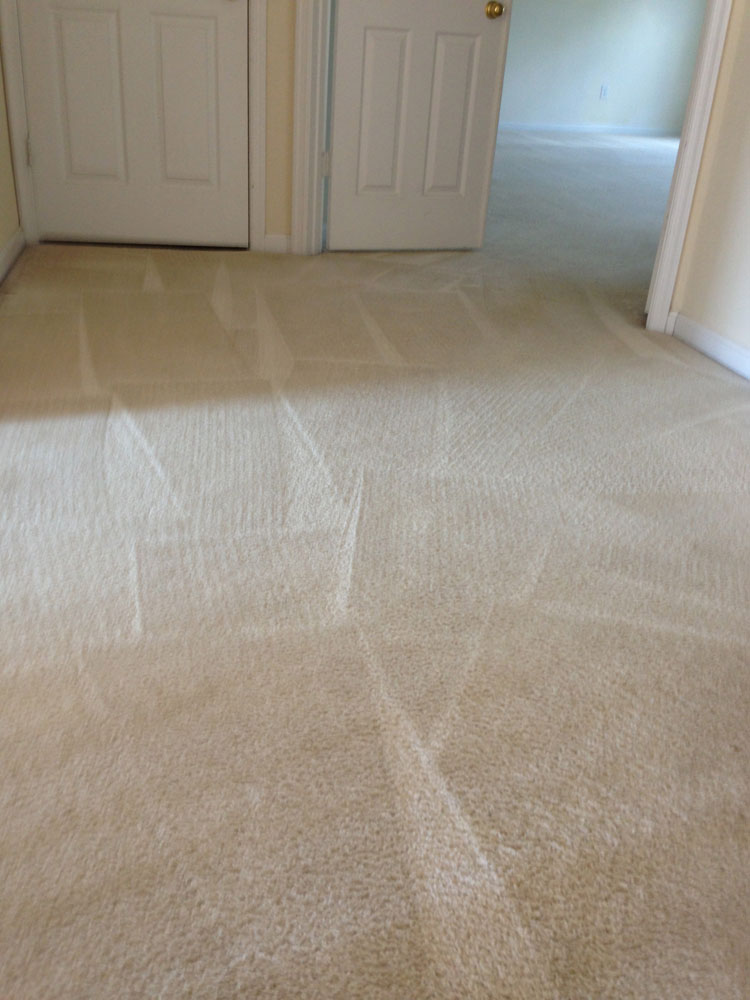 carpet cleaning 5 - Projects