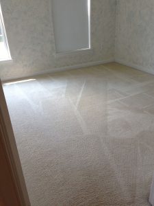 carpet cleaning 6 225x300 - Projects