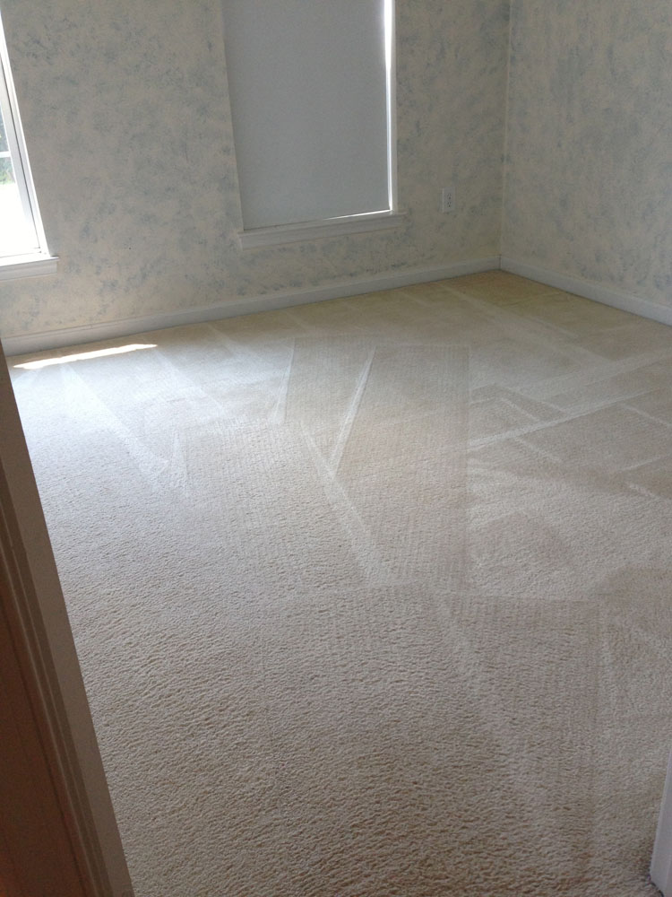 carpet cleaning 6 - Projects
