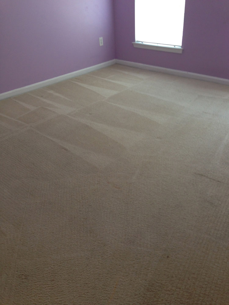 carpet cleaning 7 - Projects