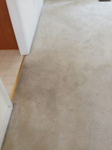 carpet cleaning 8 225x300 - Projects