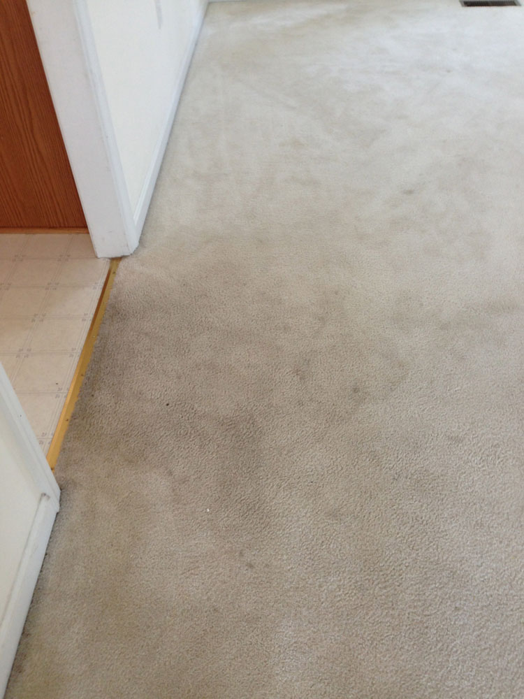 carpet cleaning 8 - Projects