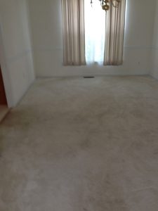 carpet cleaning 9 225x300 - Projects